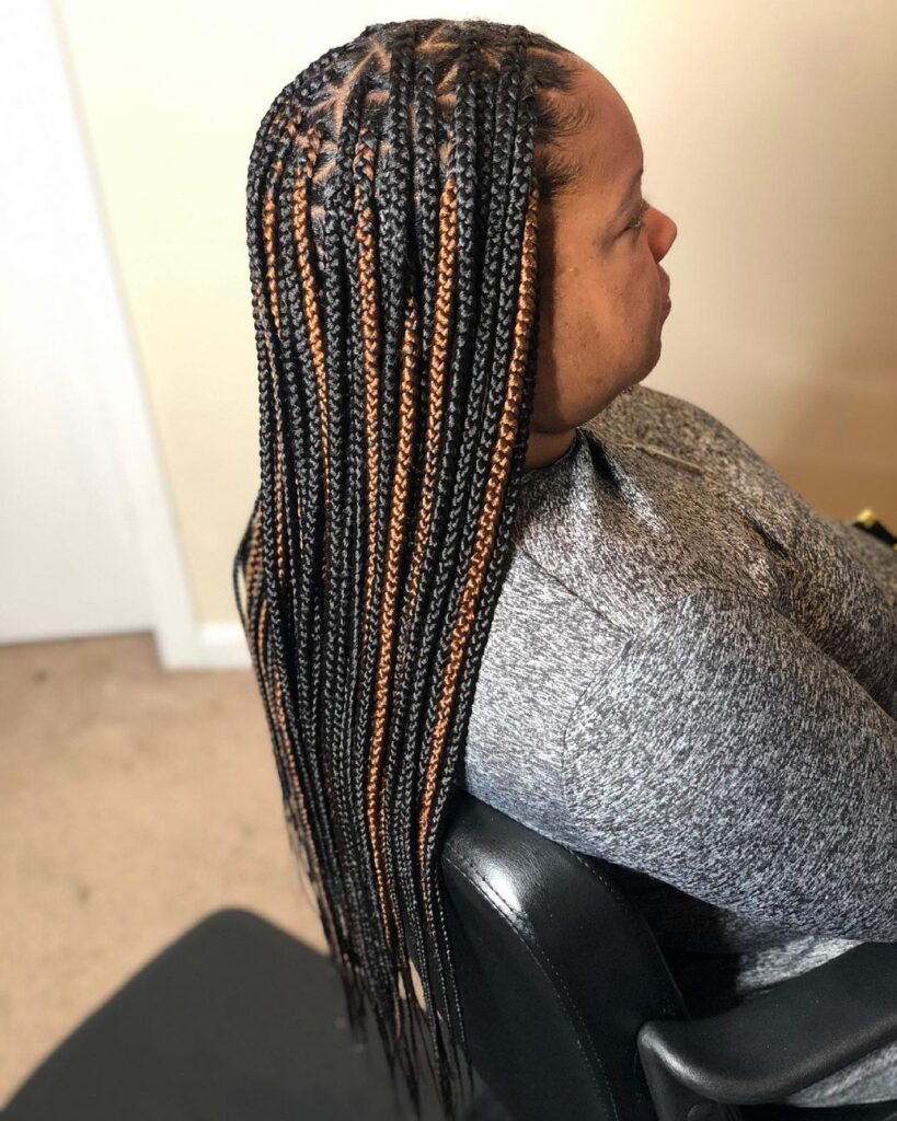 Two-Toned Trail Braids